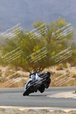 media/Apr-10-2022-SoCal Trackdays (Sun) [[f104b12566]]/Turn 5 Tree of Life (1040am)/